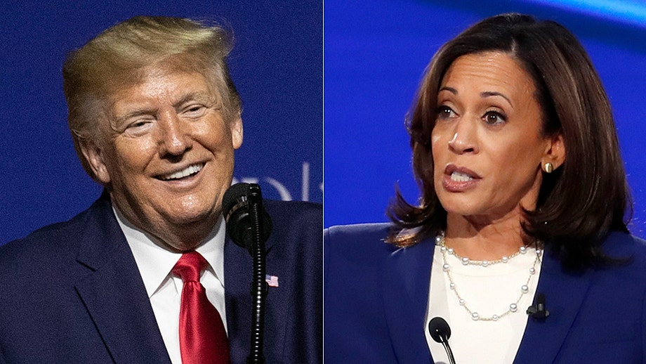 Trump calls 'most liberal' Harris 'dangerous choice' for Biden: 'Not sure that's what the country wants'