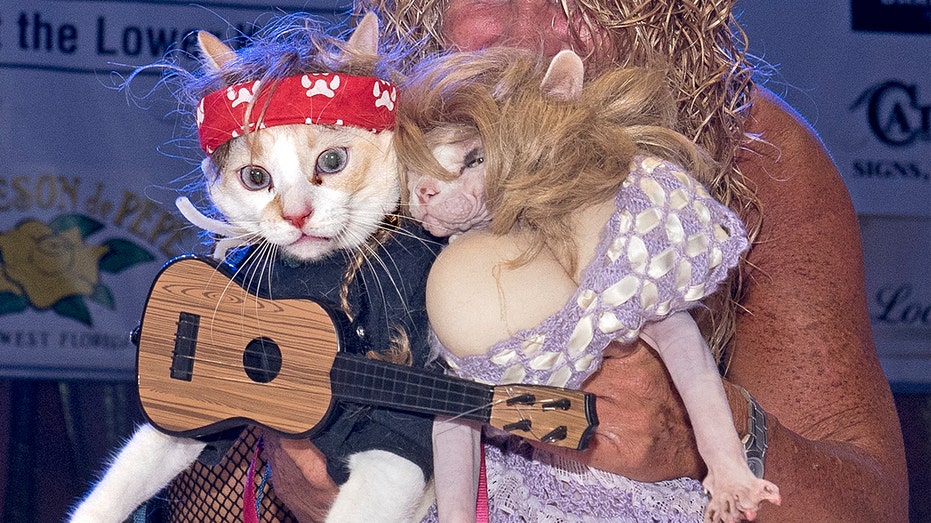 Cat costume with clearance guitar