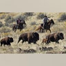 Riders herd bison during the annual roundup on Antelope Island in Utah. Oct. 26, 2019. 