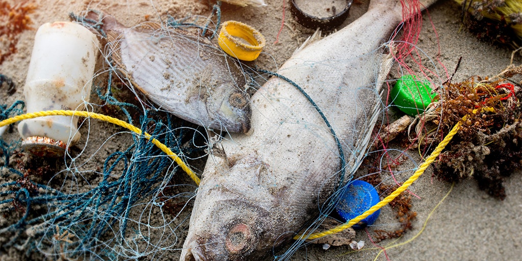 Fishing crews to blame for much of the plastic in the world's
