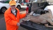 Woman, 104, bags buck during first hunt