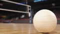 Volleyball on Wood Floor - Fox News