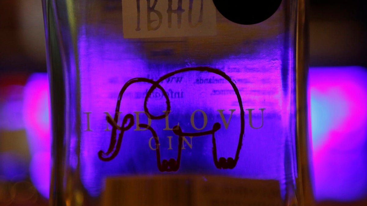 A bottle of elephant dung infused Indlovu, which means elephant in the Zulu language, gin rests on bar at a tasting session at Botlierskop Private Game Reserve, near Mossel Bay, South Africa, Monday, Oct. 23, 2019. (AP Photo/Denis Farrell)