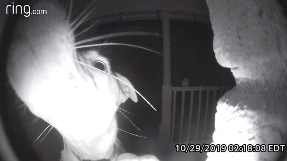 When Robert Fox was locking up his home in McDonough, Ga., on Oct. 28, he forgot one important thing, but it wouldn't be until the earlier hours that he would be reminded of it. (Credit: Caters News Agency)