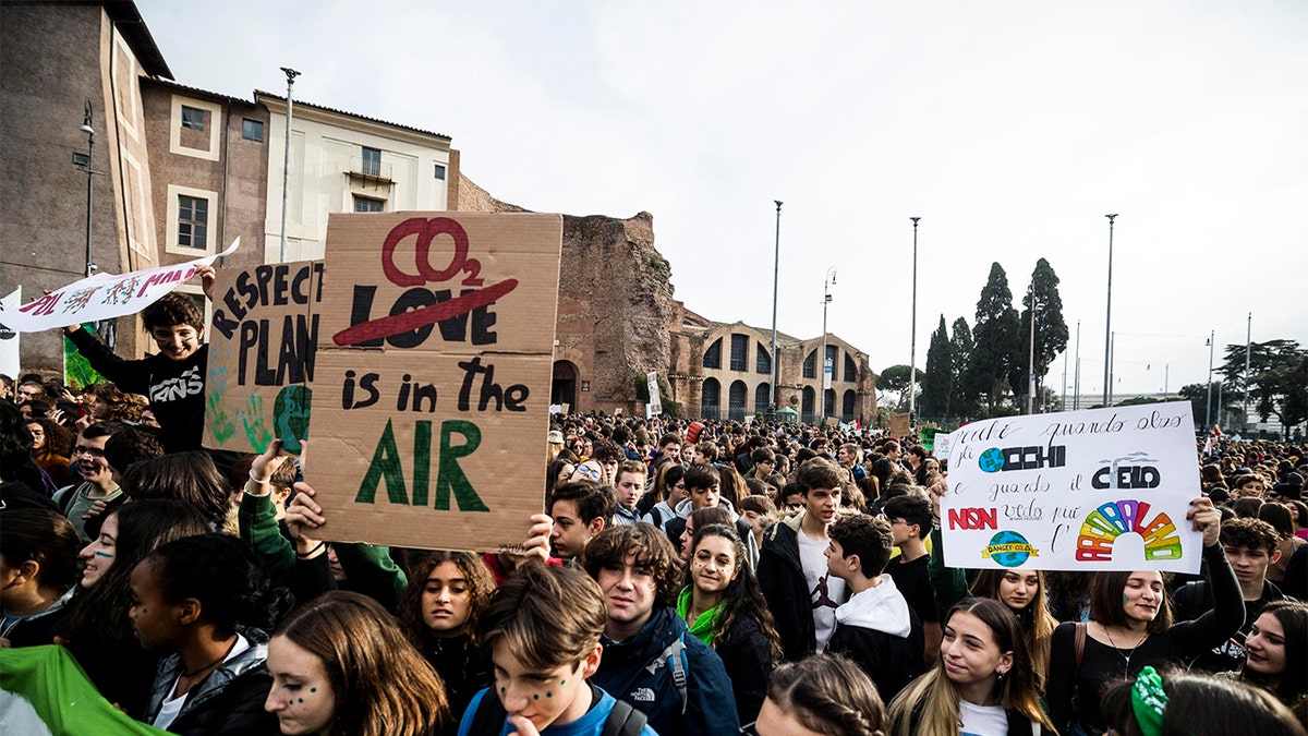 Fridays For Future movement in Rome
