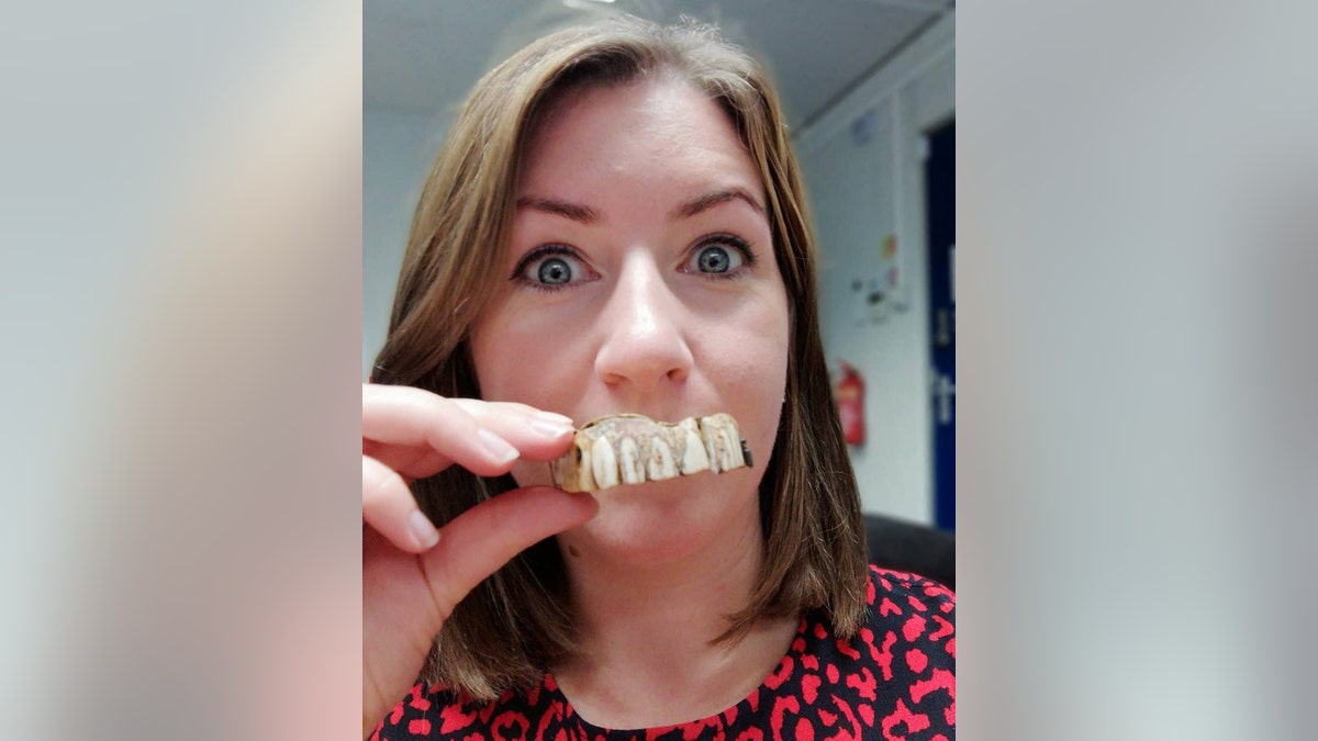 Hansons Valuer Isabel Murtough with the dentures.