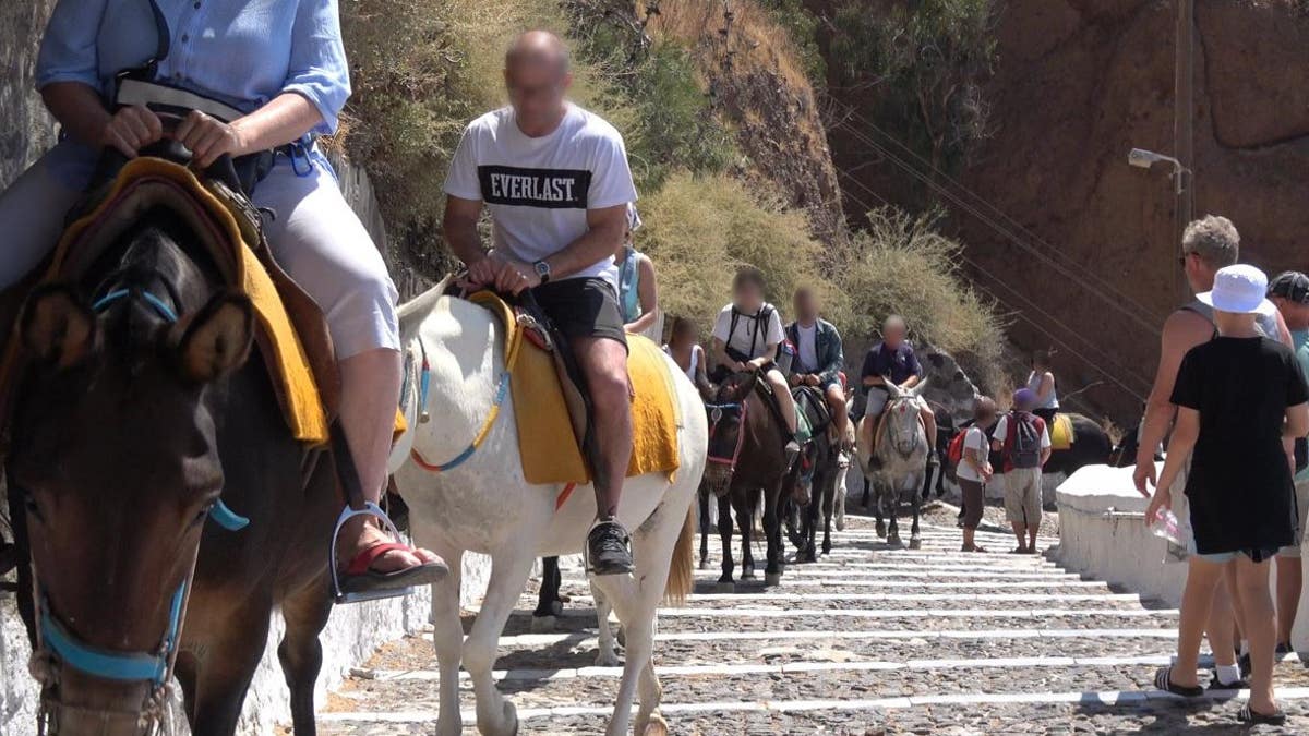 On Wednesday, PETA Germany shared new video footage to YouTube of the equines trudging up and down the 500 steps from Santorini’s port to the city of Fira, carrying visitors in ill-fitting tack.