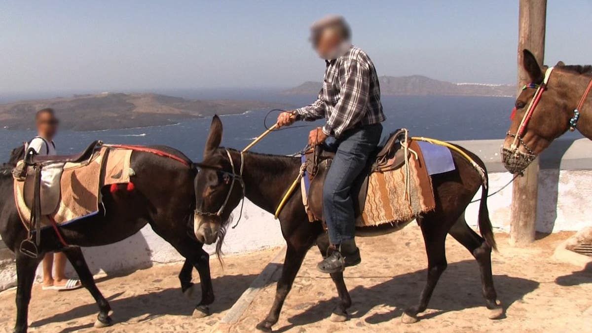 “Santorini holds itself apart from Greece and Greek law — it’s a totally uncivilized place where men openly whip and beat donkeys and mules, making them perform backbreaking work, day in and day out,” PETA President Ingrid Newkirk said in a statement.