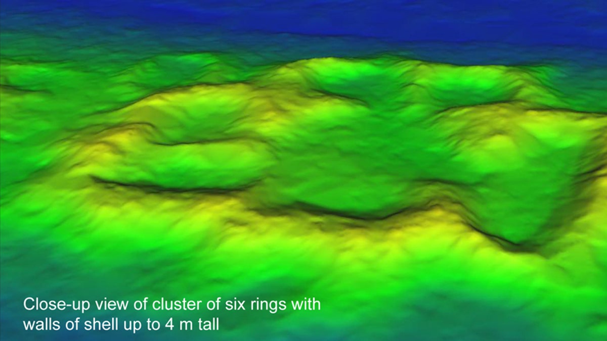 A close up view of a cluster six "rings" on Raleigh Island.