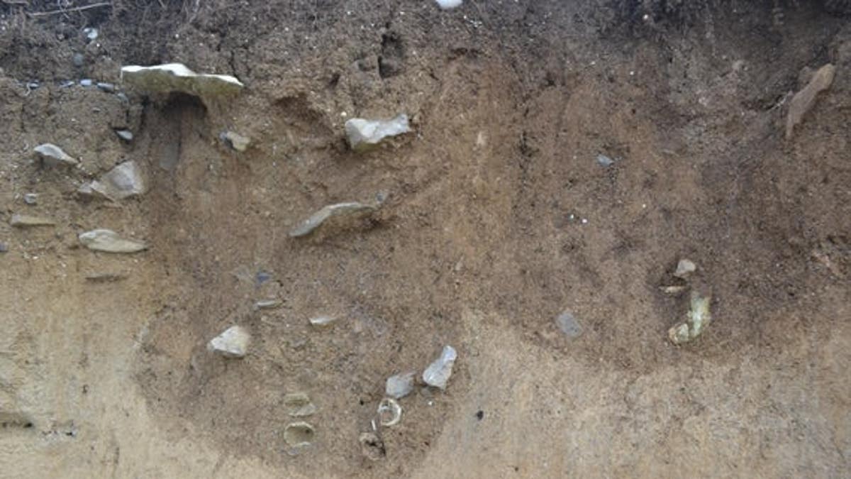 The bones are thought to belong to shipwreck victims. (Cardiff University)