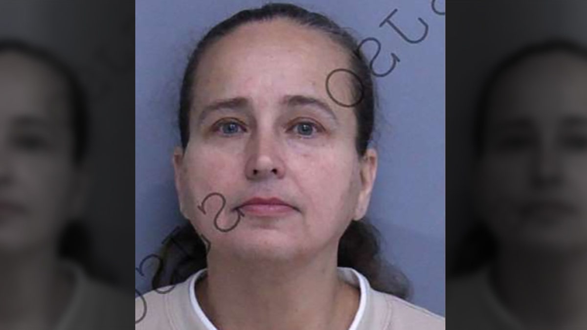 Tina Scee has been arrested and charged in connection with an alleged illegal adoption scheme involving a young boy, according to officials.