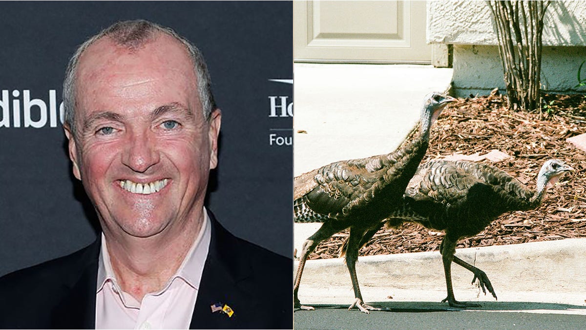 Gov. Phil Murphy of New Jersey is taking heat from MLB star Todd Frazier over a wild turkey problem that has been plaguing Frazier's hometown of Toms River.