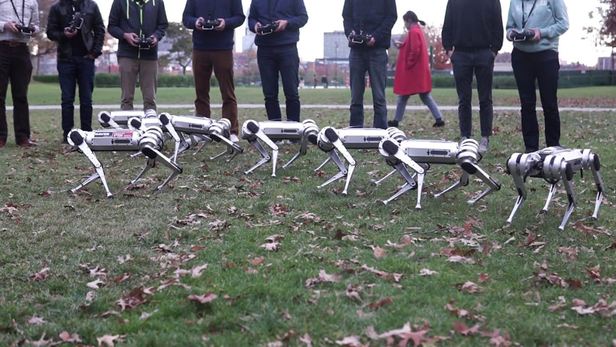 A four-legged robotic system for playing soccer on various terrains, MIT  News