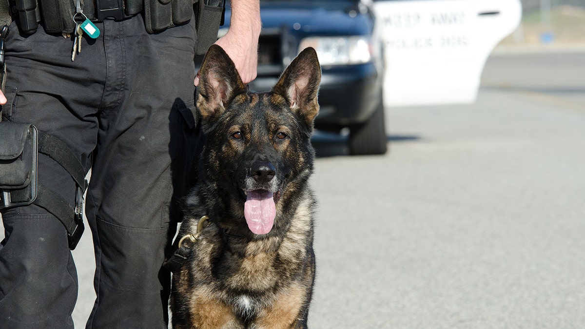 Police K-9