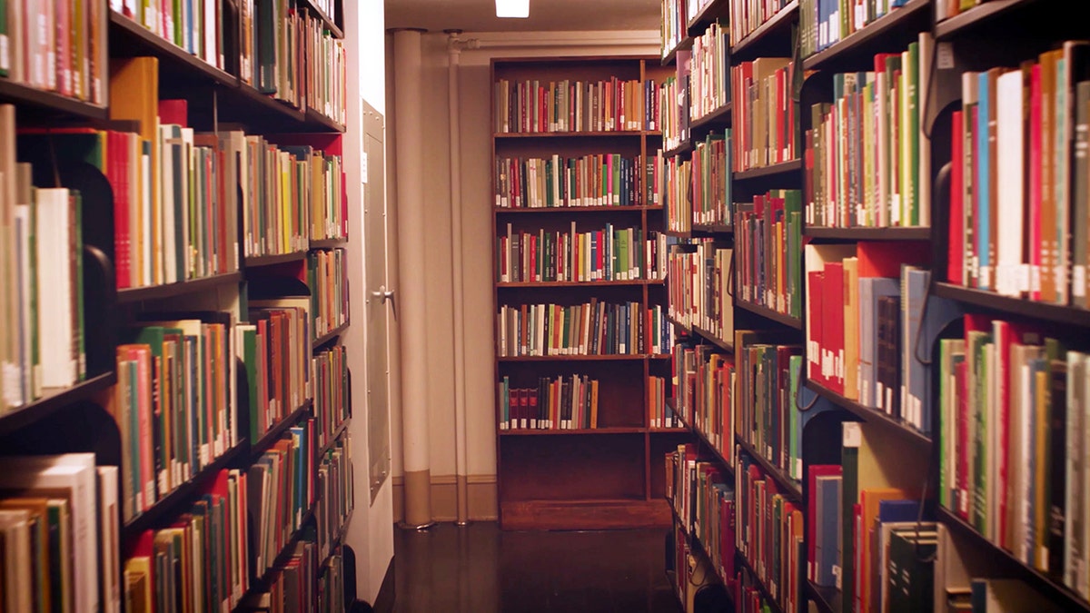 beautiful library room