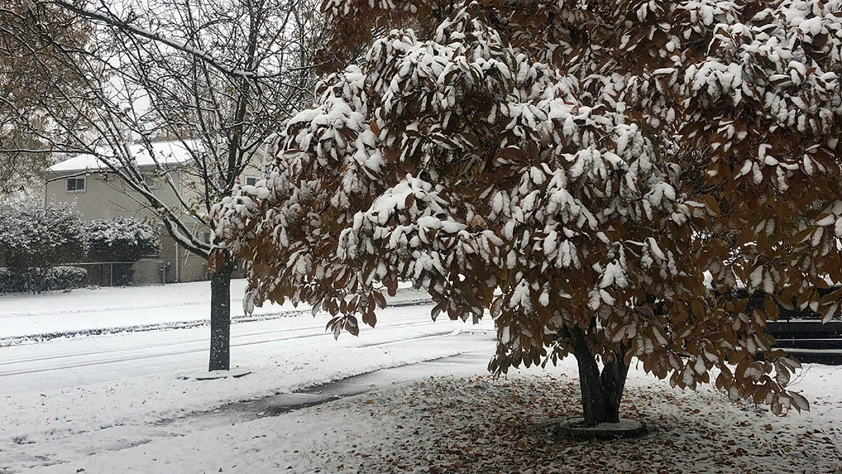 Snow falls in Taylor, Mich. from a winter storm on Monday.