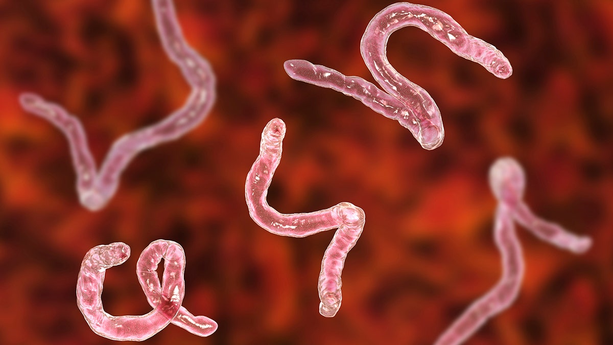 Doctors from the Hospital for Tropical Diseases eventually told James Michael a parasitic worm had crawled up his penis and laid eggs in his body. (Photo: iStock)