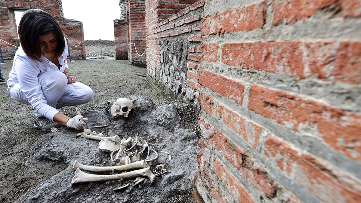 New excavations at Pompeii, Naples, Italy - 25 Nov 2019 Pompeii excavations opened to the public along with the great discoveries in the Regio V in the Archaeological Park of Pompeii. (Credit: Napolipress/Shutterstock (10484952m) Pompeii excavations)