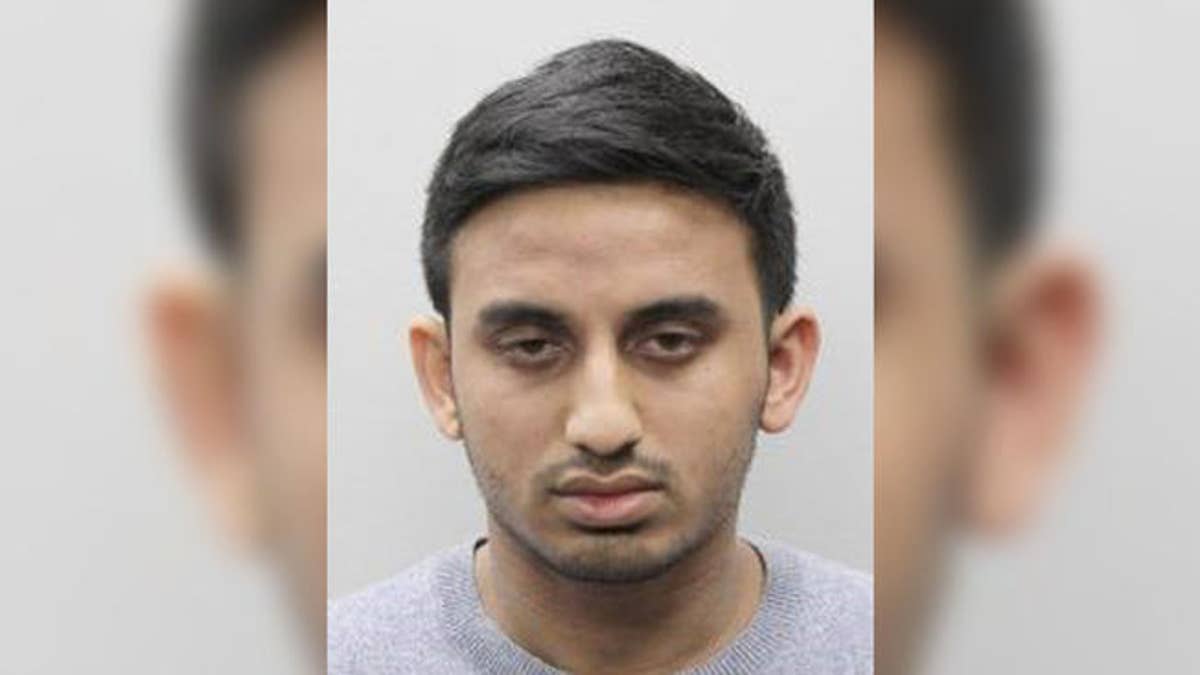 Monis Irfan, 21, pleaded guilty on July 19 after an undercover police sting found that he communicated online with a Fairfax County police detective posing as the father of a 7-year-old child, who wasn't real.