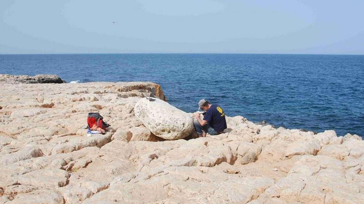 Klaus Reicherter from the University of Aachen examines a boulder that the tsunami carried onto the cliffs. (Gösta Hoffmann/Uni Bonn)