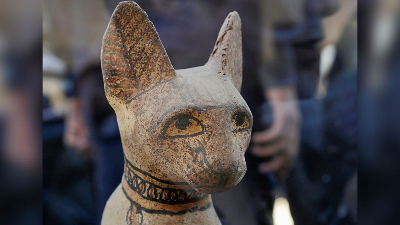 Cache of mummified cats, lions recently discovered on display at Egyptian  pyramid site, image size:1280x720