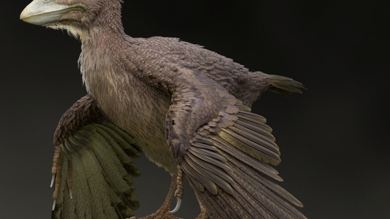 flying-bird-dinosaur.jpg?ve=1&tl=1
