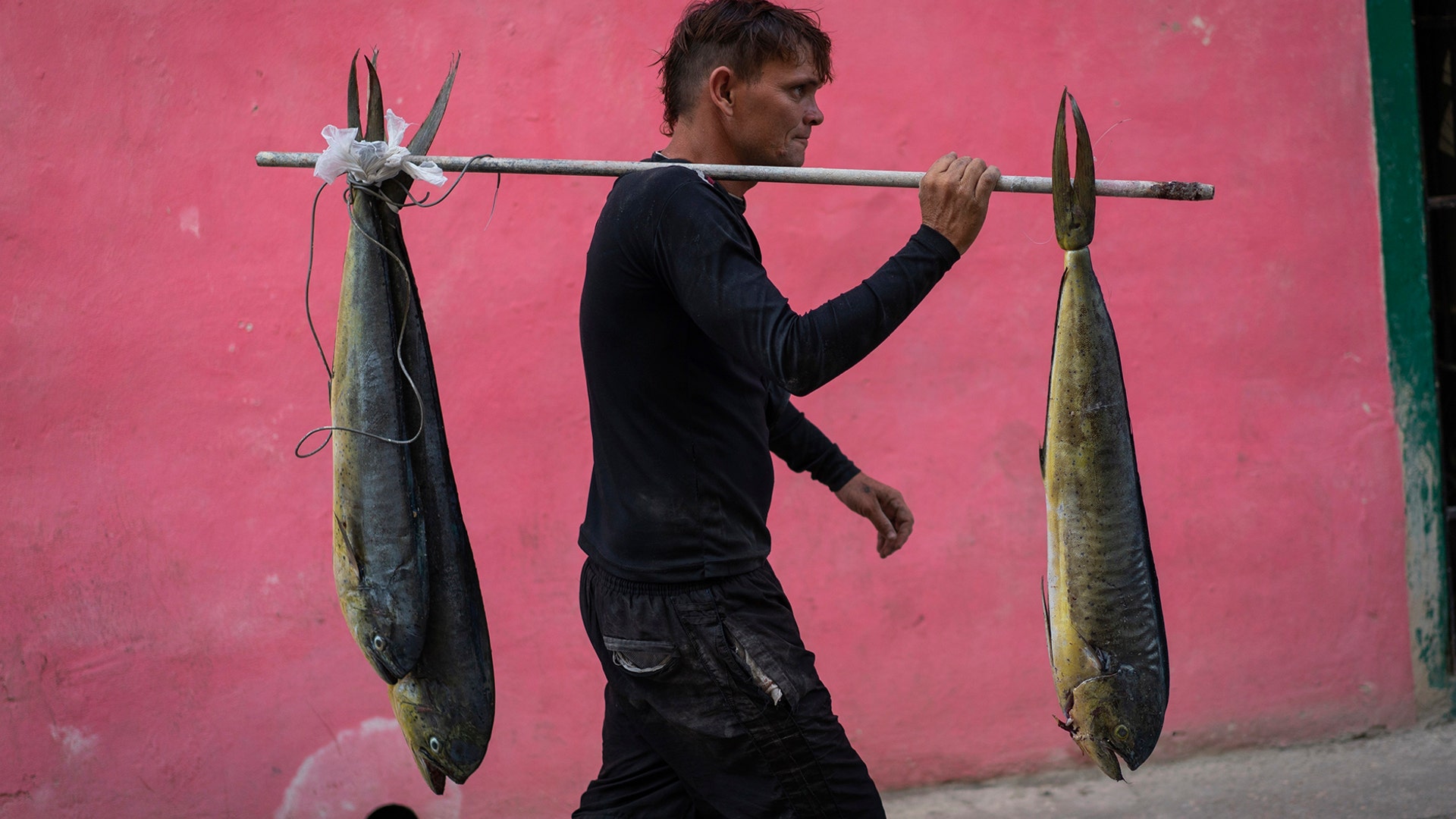 A fisherman carries fish in Old Havana, Cuba, Nov 12, 2019.