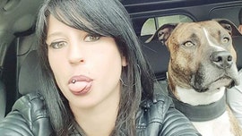 French woman killed by dogs during hunt in woods, investigators say