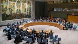 UN Security Council members critical of US policy shift on Israeli settlements