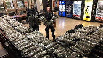 Pot or hemp? NYPD bust highlights growing drug confusion