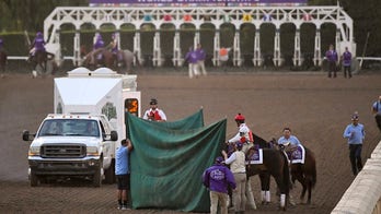 Santa Anita Park horse euthanized after Breeder's Cup injury, death toll now 37