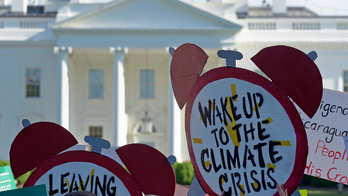 Climate activists turn up the heat on elected Dems, criticize inaction