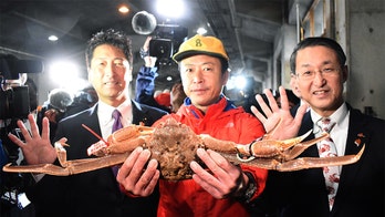 Snow crab sells for record $46G at auction in Japan