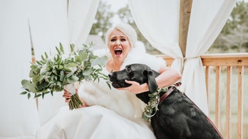 Bride's 'first look' photo shoot with dog – not groom – goes viral on Facebook