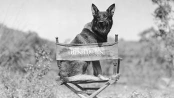Warner Bros to launch film on Rin Tin Tin, the hound who saved the studio from bankruptcy, as a military hero
