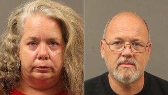 Dead cats found in freezer of unlicensed cat rescue: reports