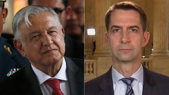 Americans may 'have to take matters into our own hands' after Mexican cartel murders US nationals: Sen. Tom Cotton