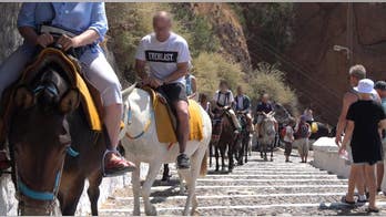 Greek donkeys are still being abused as 'tourist taxis,' PETA claims