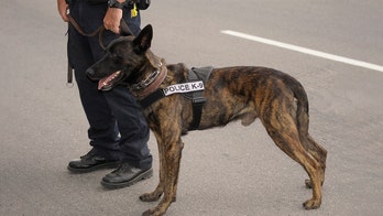 Six cloned dogs welcomed to Beijing police force