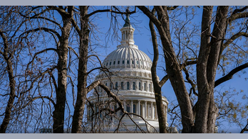 Ari Fleischer calls impeachment push a 'one-party effort:' 'That is never the stuff of impeachment'