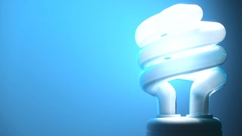 Man says spiral light bulb filled with ladybugs almost burned down house