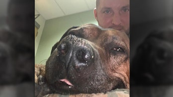 Tim Tebow honors 'Bronco' after beloved dog's death