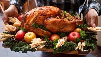 TSA shares Thanksgiving travel tips, confirms that turkey, stuffing can be stuffed into carry-on bags