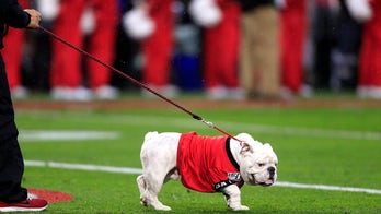 PETA urges Georgia to retire mascot Uga; fans and alumni scoff at demand