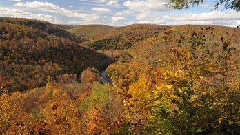 Pennsylvania high school student dead after falling off cliff during state park hike