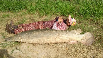 Texas fisherman lands 200-pound alligator gar after 40-minute tussle