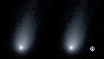 Interstellar comet Borisov spotted in new image, has 'ghostly' appearance