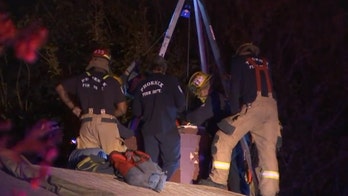 Arizona teen, 17, becomes trapped in chimney after trying to get in locked house: report