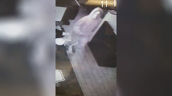 Thief caught stealing cookies during heist earns 'cookie monster' nickname from police