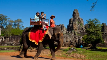 Cambodia bans elephant rides at popular Angkor Wat park